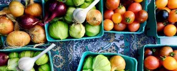 Learn about the cultural and political dimensions of food with a degree in Food Studies Photo of salsa ingredients