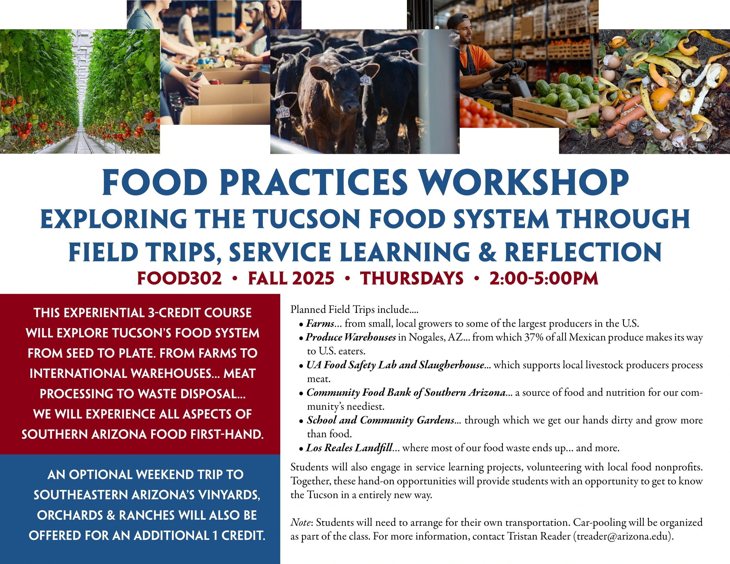 food practices workshop