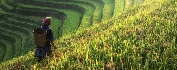 Woman in traditional agriculture setting