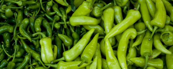 Photo of green chillis